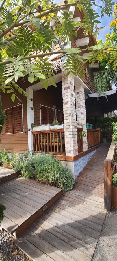 Vila The Butterflies Wood House Reshafim Exteriér fotografie